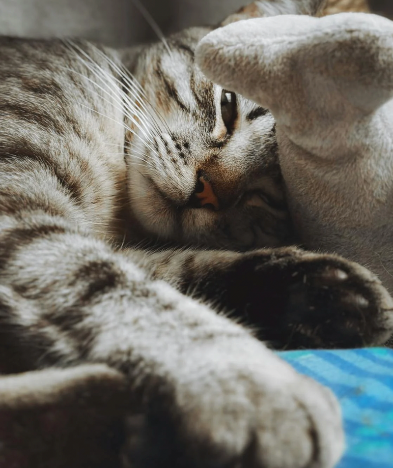 Comfort