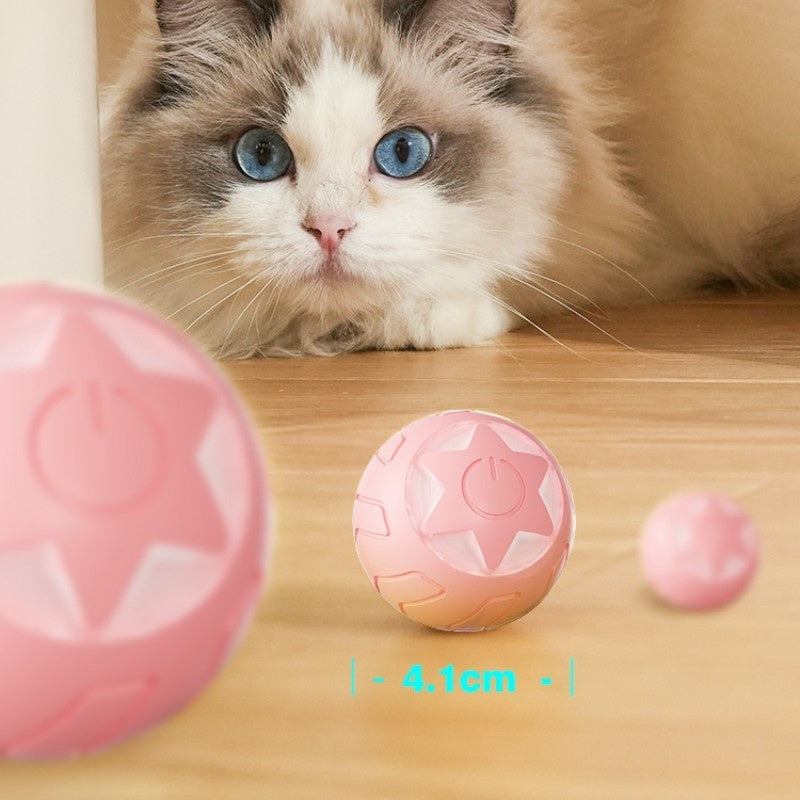 Katzen lieben es: Robuster Selbstrollball für aktive Stubentiger