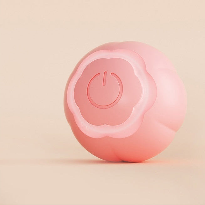 Katzen lieben es: Robuster Selbstrollball für aktive Stubentiger