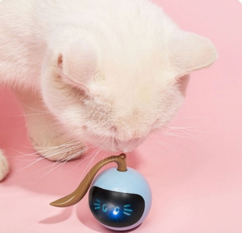 Automatisches Katzenspielzeug Ball – Bewegung und Freude garantiert