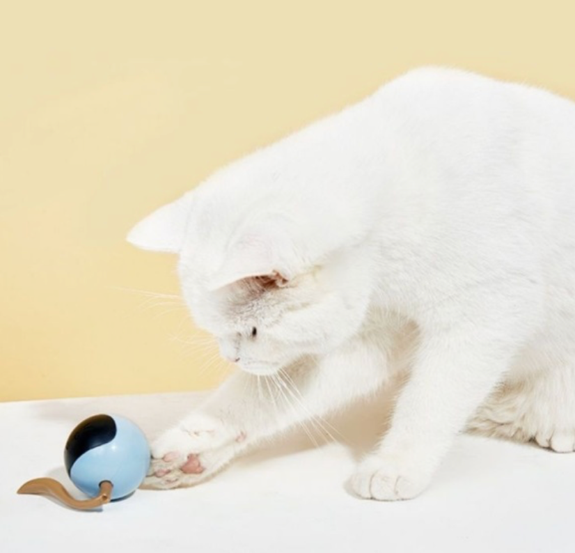 Automatisches Katzenspielzeug Ball – Bewegung und Freude garantiert