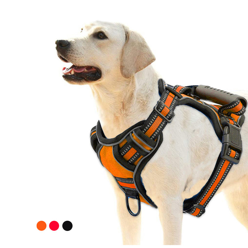 Reflektierendes Hundegeschirr: Sicher, bequem und ziehfrei